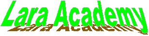 Lara Academy